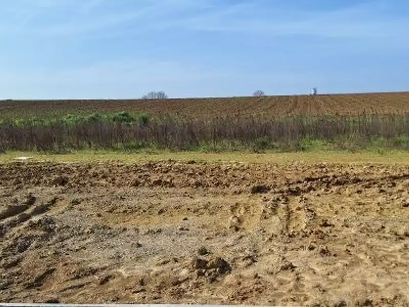 Terrain à bâtir, 400 m² - Merville (31330)