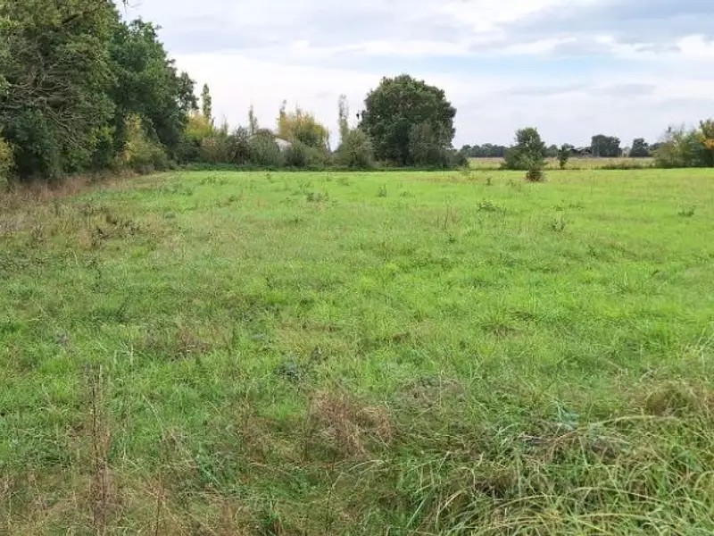 Terrain à bâtir, 1 200 m² - Bragayrac (31470)