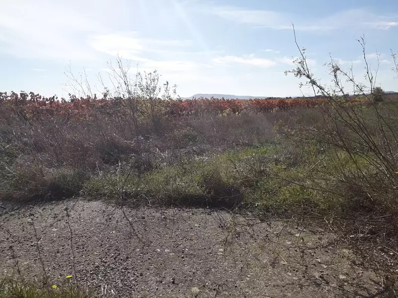 Terrain à bâtir, 595 m² - Saint-Laurent-de-la-Cabrerisse (11220)