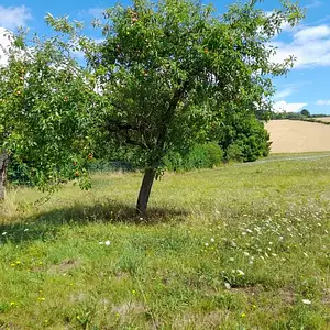 Terrain à bâtir, 730 m²
