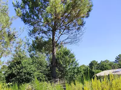 Terrain à bâtir, 700 m²