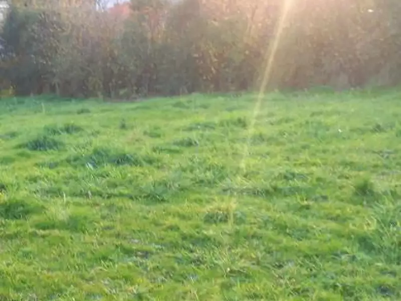 Terrain à bâtir, 875 m² - Saint-Michel-Chef-Chef (44730)