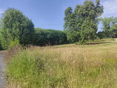 Terrain à bâtir, 1 376 m²