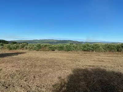 Terrain à bâtir, 310 m²