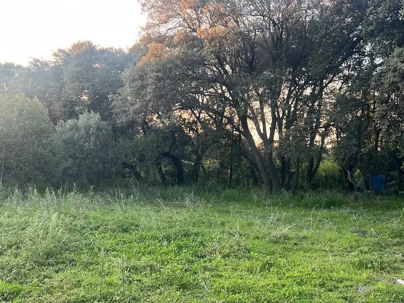 Terrain à bâtir, 440 m² - Plan-d'Orgon (13750)