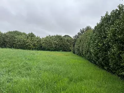 Terrain à bâtir, 555 m²