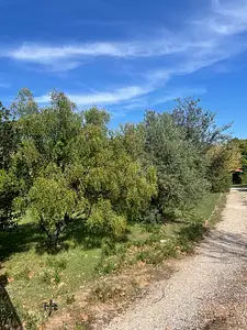 Maison neuve, 90 m²