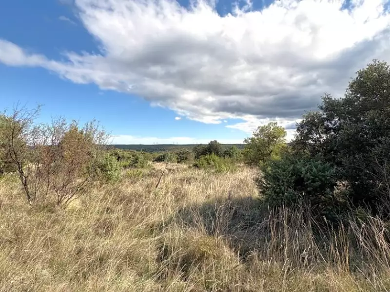 Terrain à bâtir, 1 600 m² - Gras (07700)