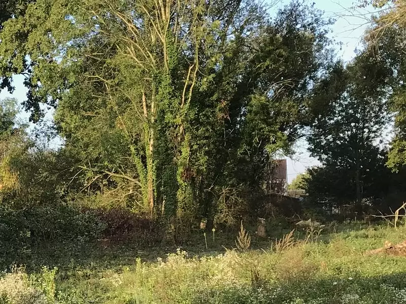 Maison neuve, 87 m² - Cesson (77240)