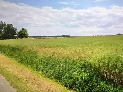 Maison neuve, 97 m²