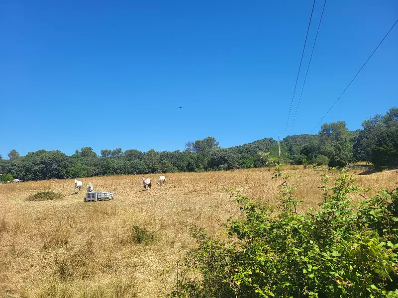 Terrain à bâtir, 846 m² - Orthoux-Sérignac-Quilhan (30260)
