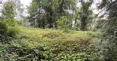 Terrain à bâtir, 903 m²