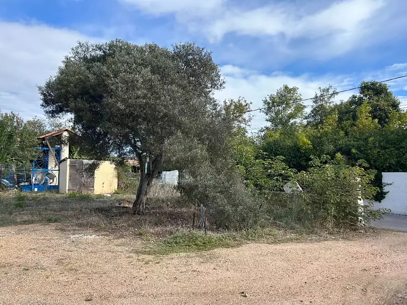 Maison neuve, 50 m² - Marseillan (34340)