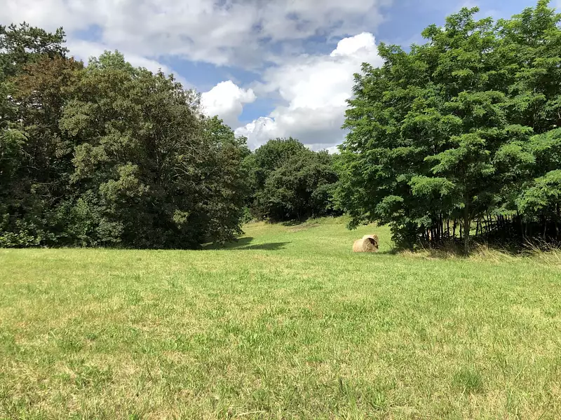 Terrain à bâtir, 515 m² - Saint-Jean-de-Thurigneux (01390)