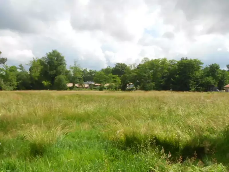 Terrain à bâtir, 370 m² - Tauriac (33710)
