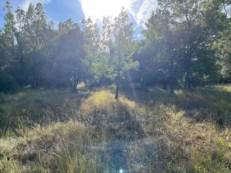 Terrain à bâtir, 900 m² - Rocbaron (83136)