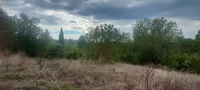 Terrain à bâtir, 1 131 m²