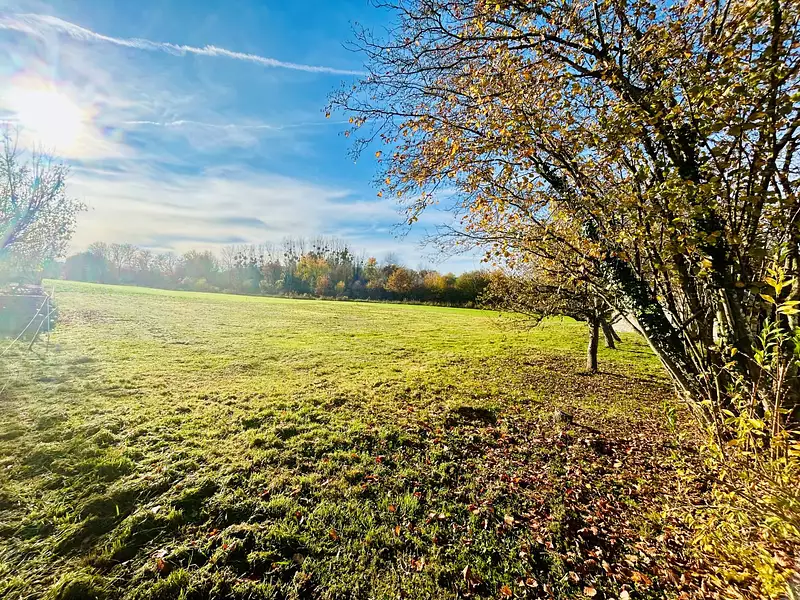 Terrain à bâtir, 2 087 m² - Neuvy (51310)