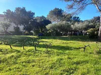 Maison neuve, 90 m²