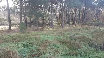 Maison neuve, 231 m²