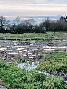 Maison neuve, 79 m²