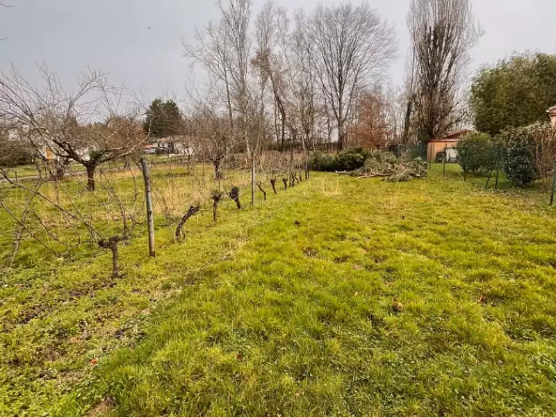 Terrain à bâtir, 2 500 m² - Sadirac (33670)