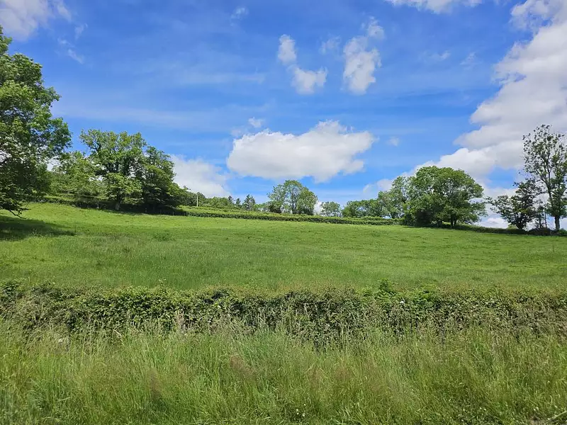 Terrain à bâtir, 3 500 m² - Mazille (71250)