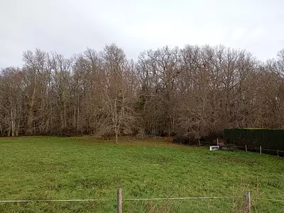 Maison neuve, 77 m²