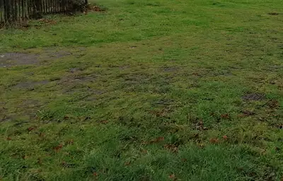 Maison neuve, 100 m²