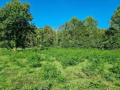 Terrain à bâtir, 1 070 m²