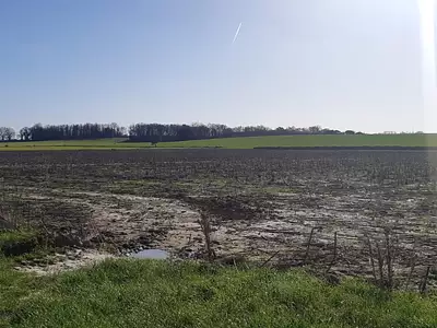 Terrain à bâtir, 446 m²