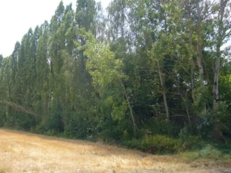 Terrain à bâtir, 1 752 m² - Villeneuve-sur-Yonne (89500)