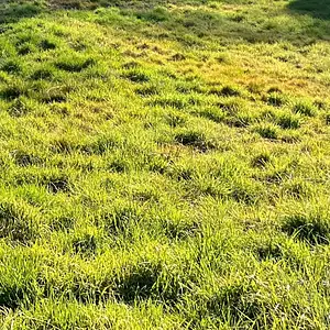 Terrain à bâtir, 1 000 m²