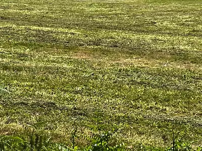 Maison neuve, 90 m²