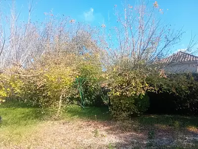 Terrain à bâtir, 480 m²