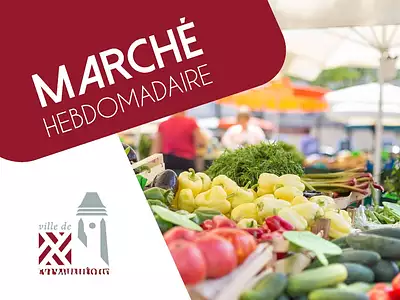 Terrain à bâtir, 1 620 m²