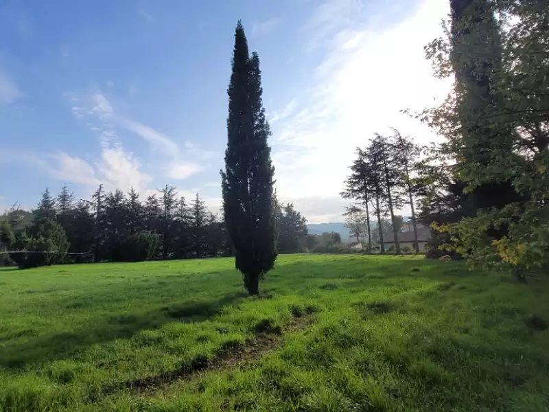 Maison neuve, 100 m² - Allan (26780)
