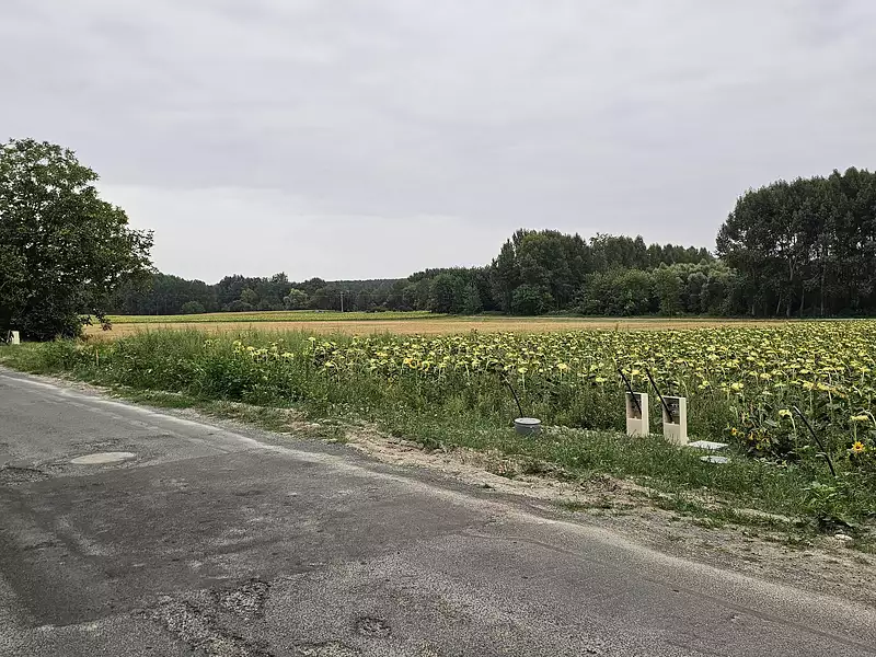 Terrain à bâtir, 449 m² - Distré (49400)