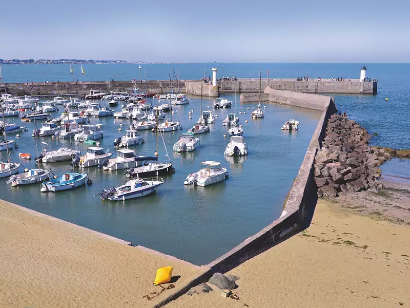 JADELIA - Saint-Michel-Chef-Chef (44730)