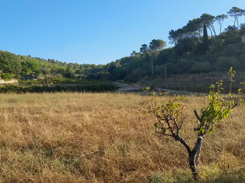 Maison neuve, 95 m² - Cotignac (83570)