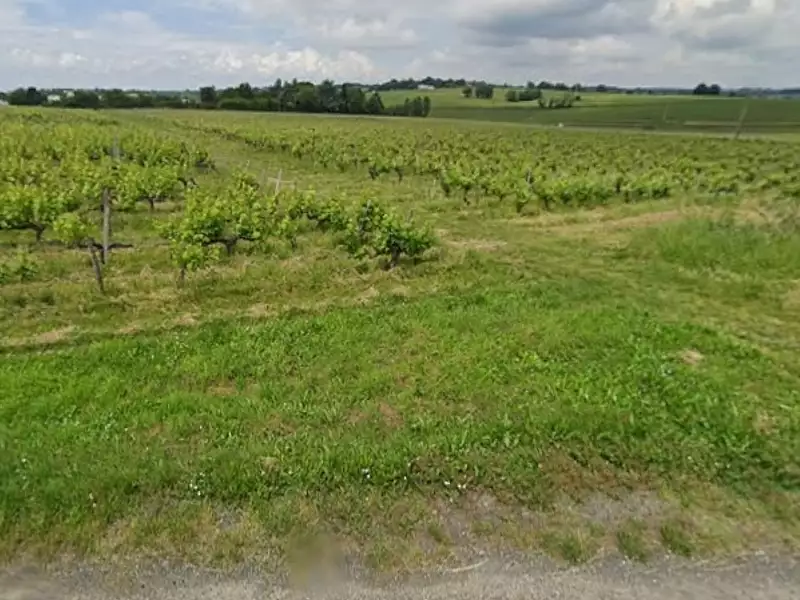 Terrain à bâtir, 850 m² - Bourg (33710)