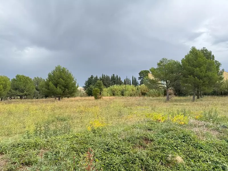 Terrain à bâtir, 300 m² - Saint-Pargoire (34230)
