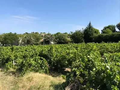 Maison neuve, 78 m²