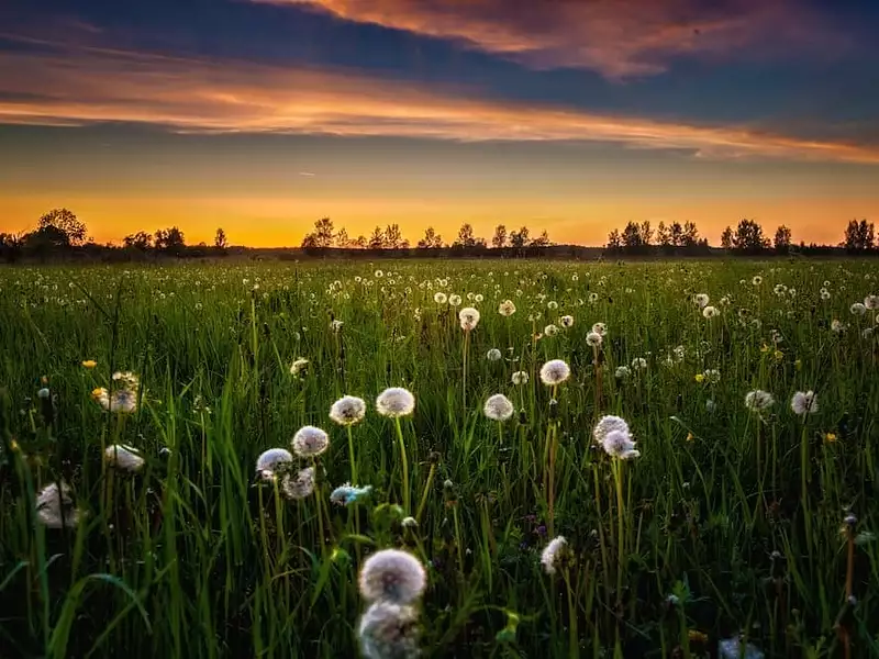 Terrain à bâtir, 700 m² - Thilouze (37260)