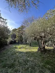 Terrain à bâtir, 1 799 m²