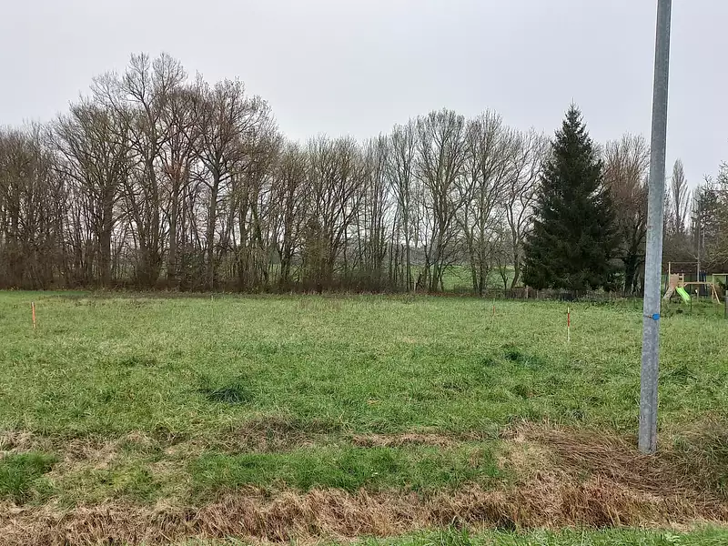 Terrain à bâtir, 1 354 m² - La Cour-Marigny (45260)