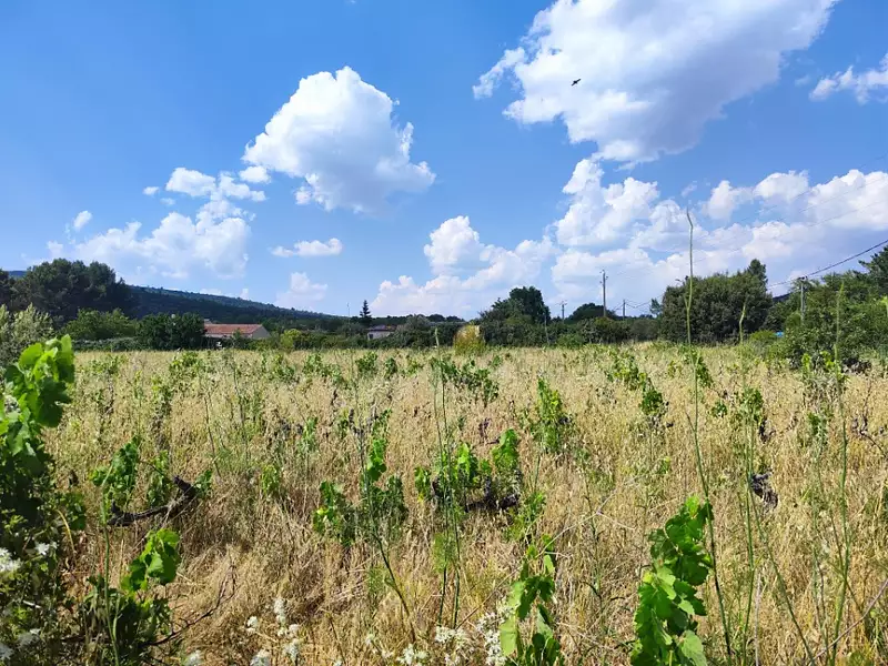 Maison neuve, 90 m² - Garéoult (83136)