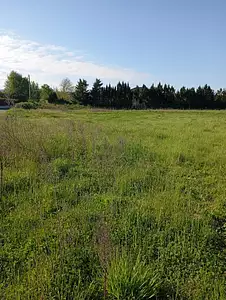 Terrain à bâtir, 572 m²