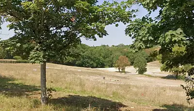 Terrain à bâtir, 891 m²