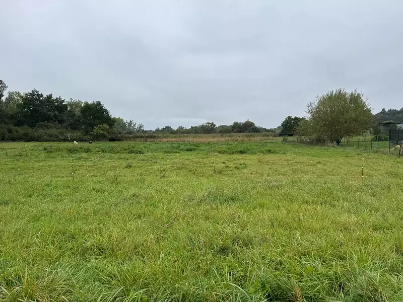 Maison neuve, 100 m² - Chémery-les-Deux (57320)